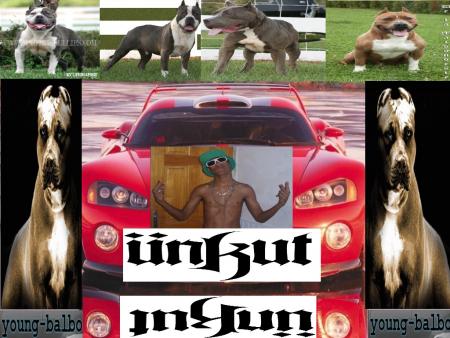 mes pits ft viper